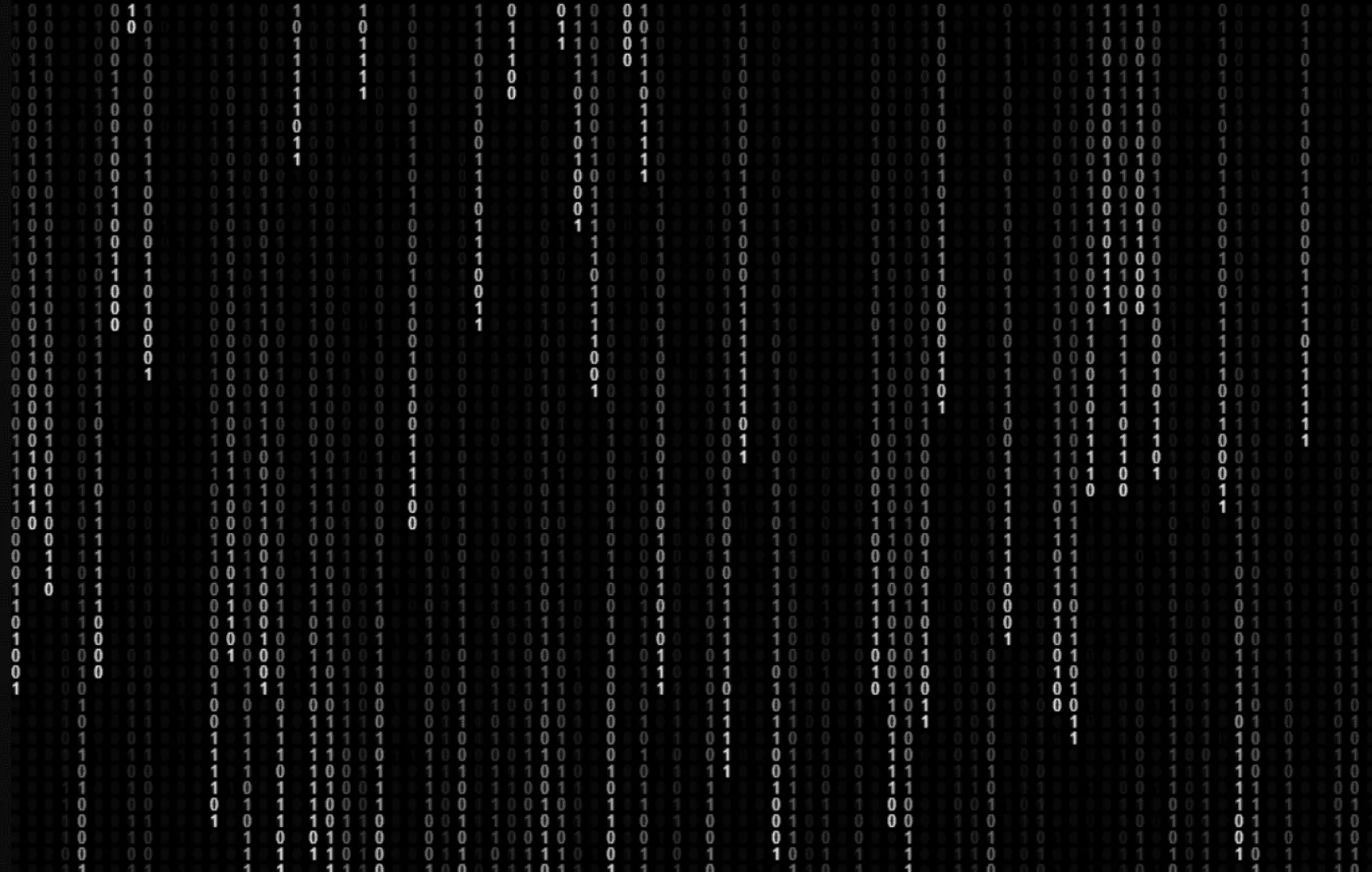 Visual experiment from 1011.one
