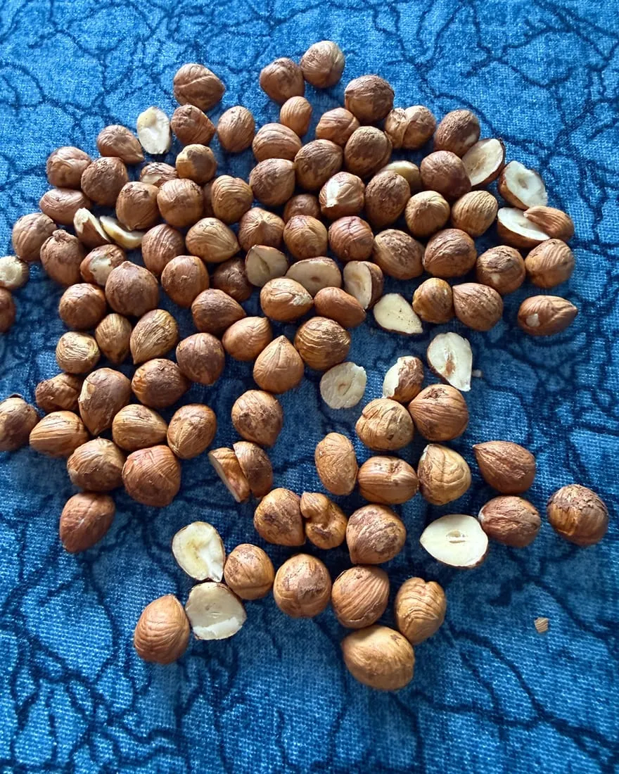 Cracked hazelnuts from the randıman test